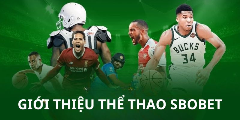 Đôi nét về thể thao Sbobet